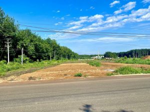 Chị Thủy và nhiều nhà đầu tư khốn khổ vì trót mua đúng đỉnh đất nền tại Lâm Đồng, Bình Phước 